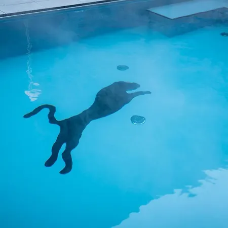 Panther'a 4* Saalbach-Hinterglemm