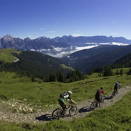 Panther'a Saalbach Hinterglemm