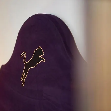 Panther'a 4* 잘바흐 힌터글렘